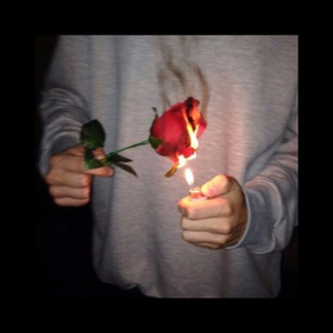 梦莲app官方下载手机版安装
