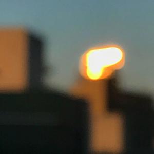 梦莲app官方下载手机版安装
